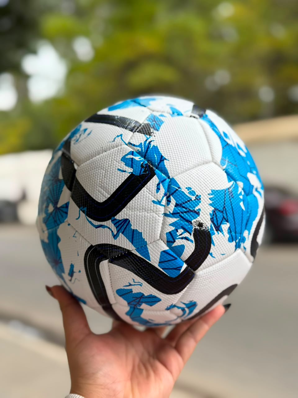 Pelota de futbol