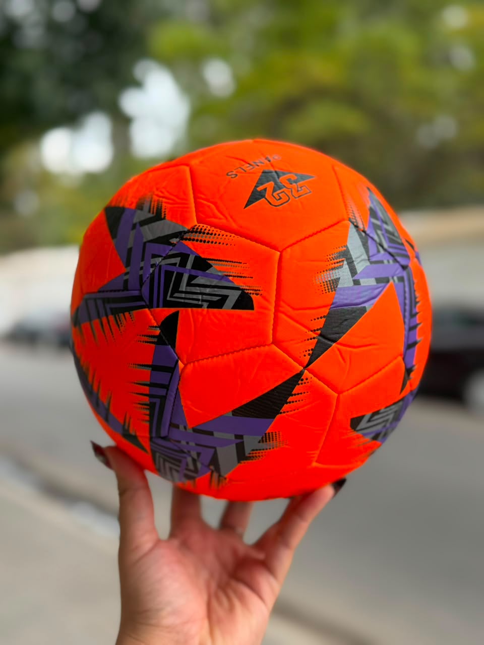 Pelota universal